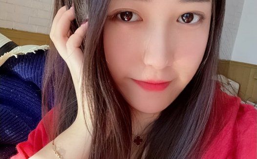 一只哈比猪[7884P+86V]